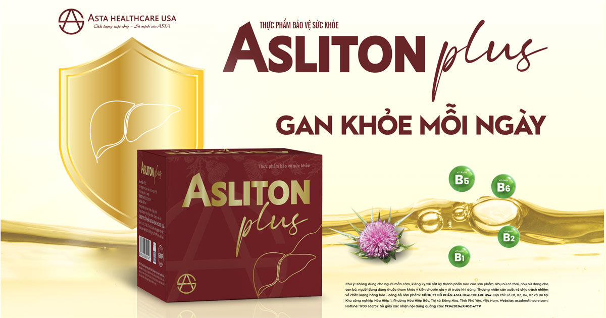 banner asliton plus