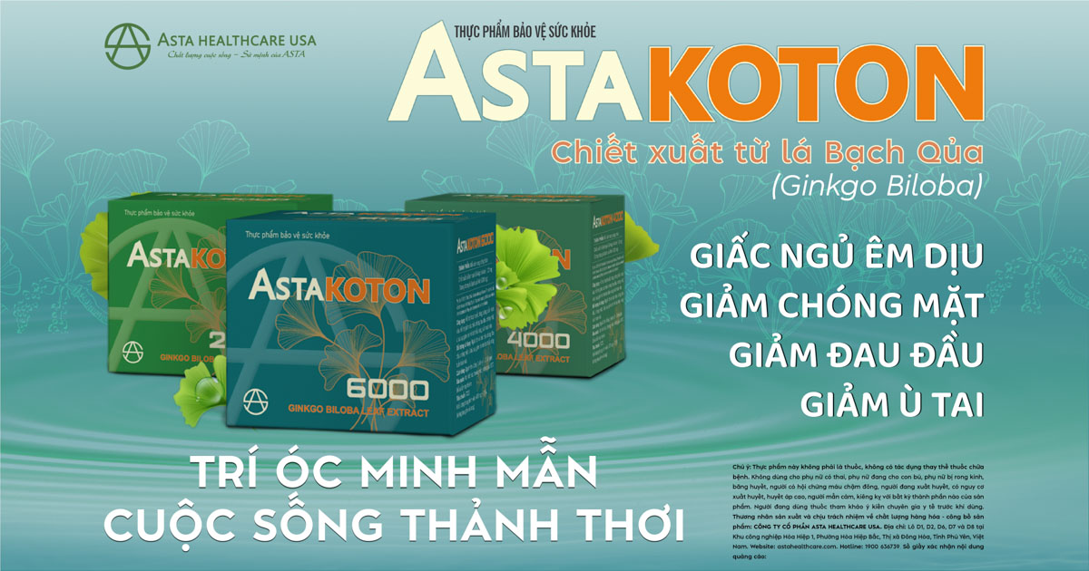 banner asta koton